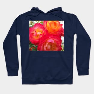 Roses in the garden Hoodie